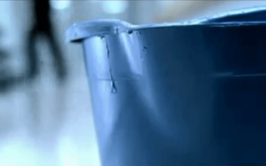 Vertaal de roep van deze emmer… en volg de eerste trainingen preventiemedewerker van 2025!